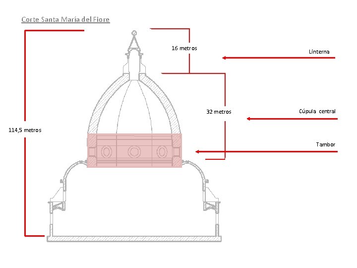 Corte Santa María del Fiore 16 metros Linterna 32 metros Cúpula central 114, 5