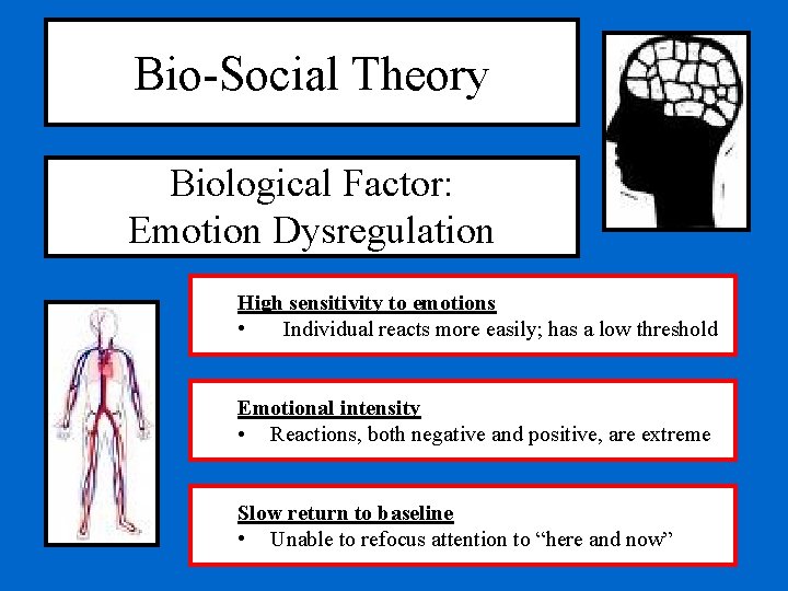 Bio-Social Theory Biological Factor: Emotion Dysregulation High sensitivity to emotions • Individual reacts more