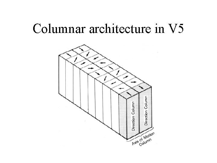 Columnar architecture in V 5 