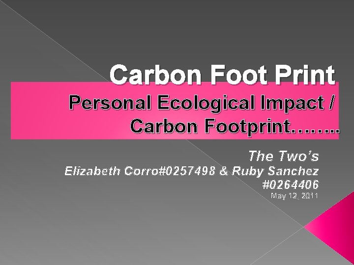 personal ecological footprint worksheet