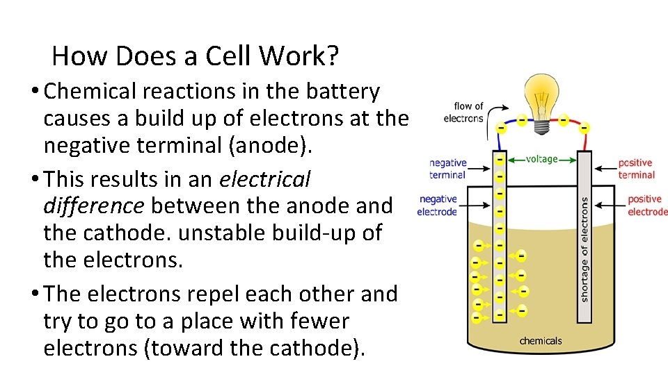 How Does a Cell Work? • Chemical reactions in the battery causes a build