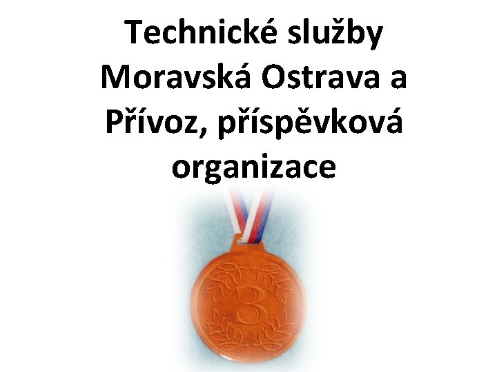 Technické služby Moravská Ostrava a Přívoz, příspěvková organizace 