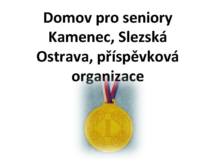 Domov pro seniory Kamenec, Slezská Ostrava, příspěvková organizace 