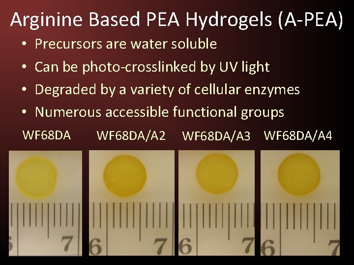 Arginine Based PEA Hydrogels (A-PEA) • • Precursors are water soluble Can be photo-crosslinked