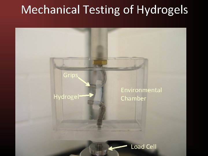 Mechanical Testing of Hydrogels Grips Hydrogel Environmental Chamber Load Cell 