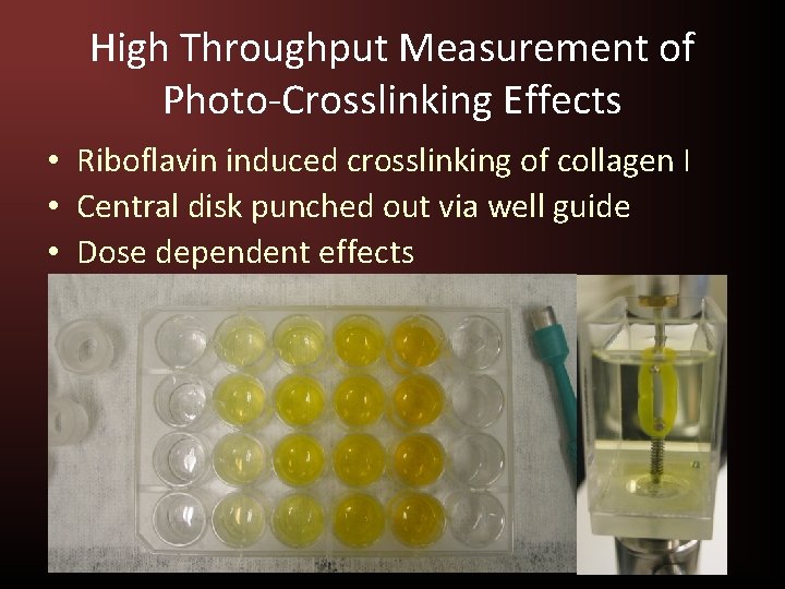 High Throughput Measurement of Photo-Crosslinking Effects • Riboflavin induced crosslinking of collagen I •