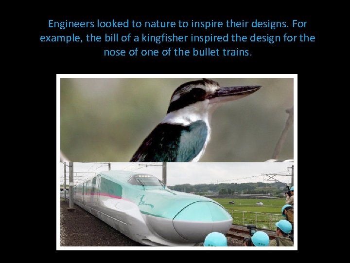 Engineers looked to nature to inspire their designs. For example, the bill of a