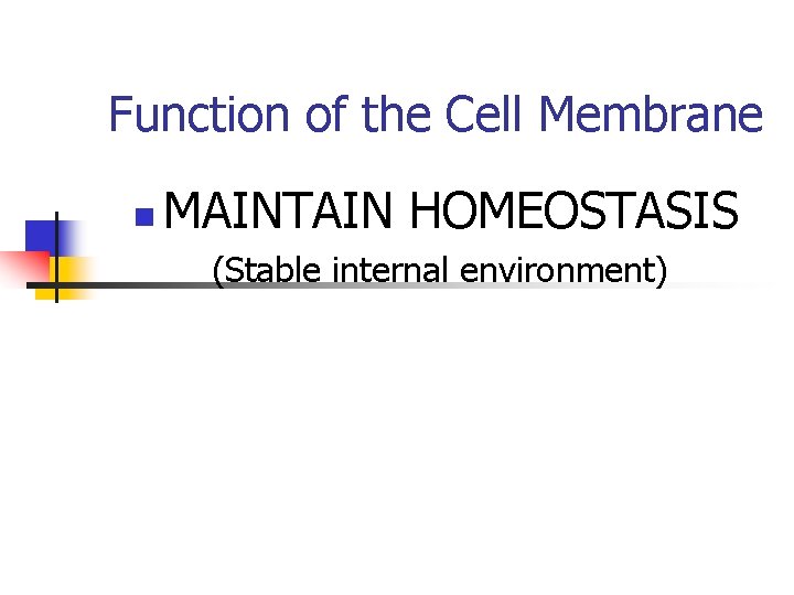 Function of the Cell Membrane n MAINTAIN HOMEOSTASIS (Stable internal environment) 