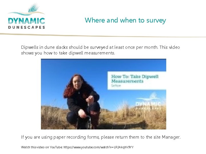 Where and when to survey Dipwells in dune slacks should be surveyed at least