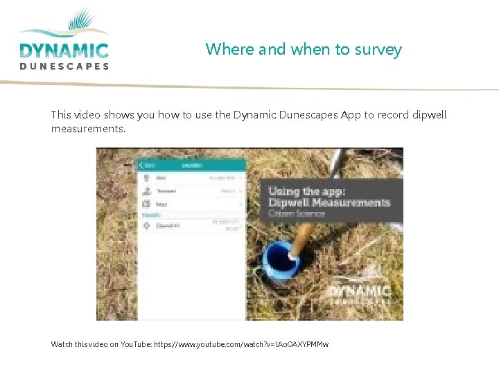 Where and when to survey This video shows you how to use the Dynamic