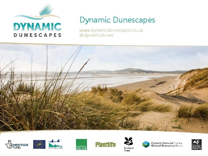 Dynamic Dunescapes www. dynamicdunescapes. co. uk @dynamicdunes v 