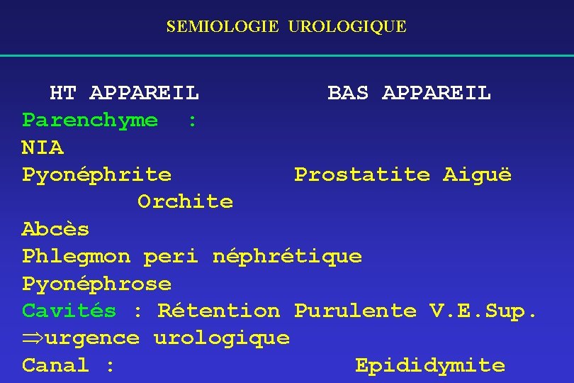 SEMIOLOGIE UROLOGIQUE HT APPAREIL BAS APPAREIL Parenchyme : NIA Pyonéphrite Prostatite Aiguë Orchite Abcès