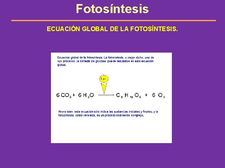 Fotosíntesis ECUACIÓN GLOBAL DE LA FOTOSÍNTESIS. 