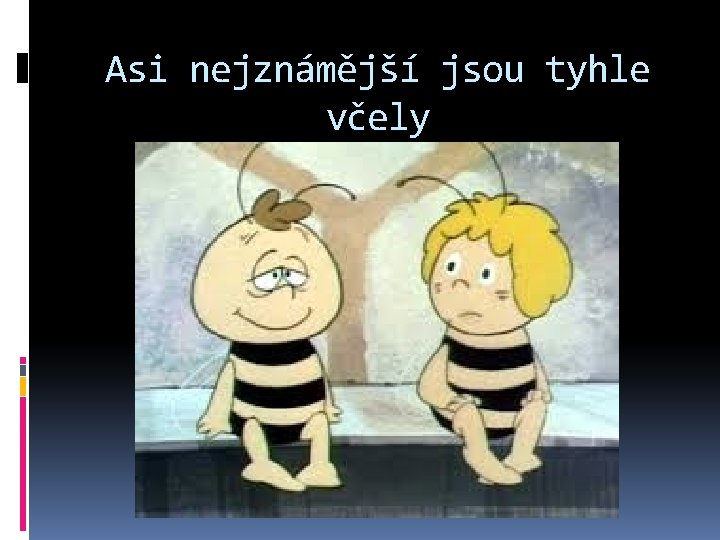 Asi nejznámější jsou tyhle včely 