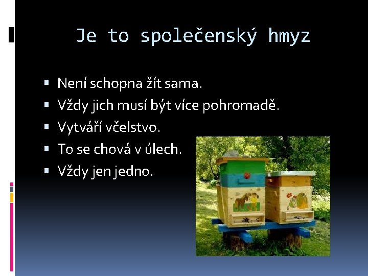 Je to společenský hmyz Není schopna žít sama. Vždy jich musí být více pohromadě.