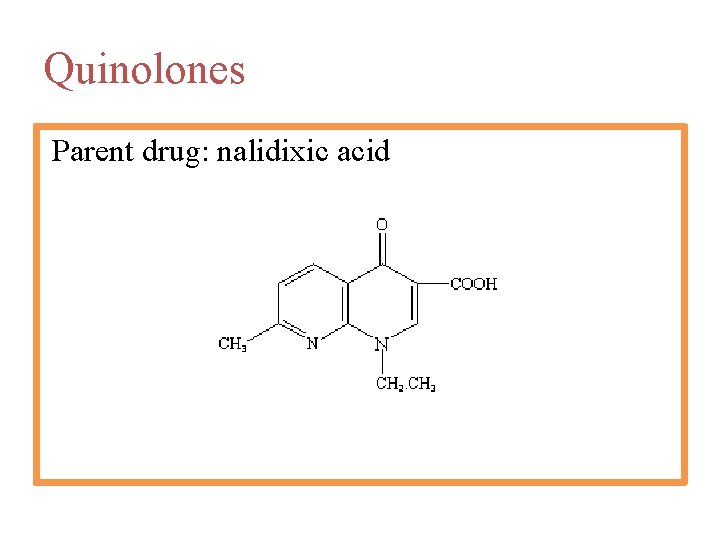 Quinolones Parent drug: nalidixic acid 