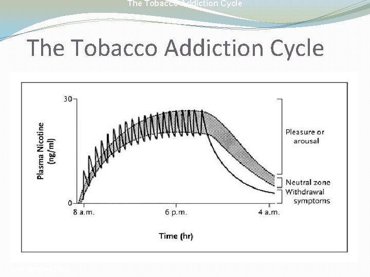 The Tobacco Addiction Cycle 2010; 362: 2295 -2303 
