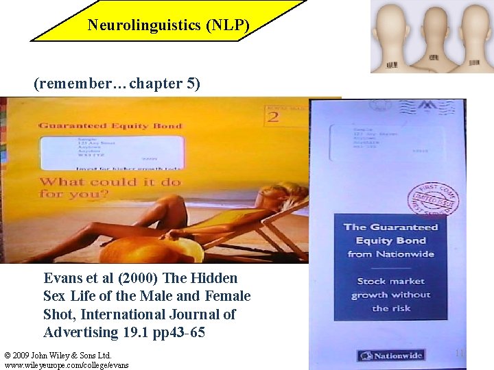 Neurolinguistics (NLP) (remember…chapter 5) Evans et al (2000) The Hidden Sex Life of the