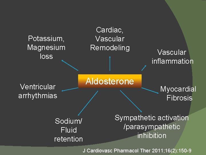 Cardiac, Vascular Remodeling Potassium, Magnesium loss Aldosterone Ventricular arrhythmias Sodium/ Fluid retention Vascular inflammation