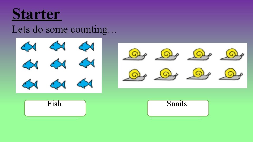 Starter Lets do some counting… Fish ______ Snails ______ Starter Lets do some counting… Fish ______ Snails ______