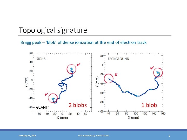 Topological signature Bragg peak – ‘blob’ of dense ionization at the end of electron