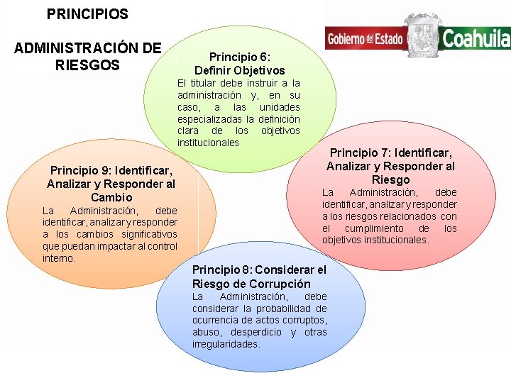 PRINCIPIOS ADMINISTRACIÓN DE RIESGOS Principio 6: Definir Objetivos El titular debe instruir a la