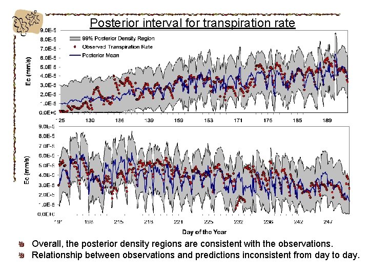Posterior interval for transpiration rate Overall, the posterior density regions are consistent with the