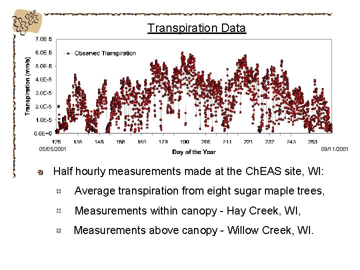 Transpiration Data 05/05/2001 09/11/2001 Half hourly measurements made at the Ch. EAS site, WI: