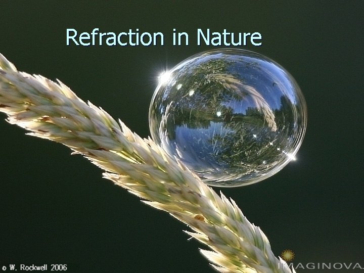 Refraction in Nature 