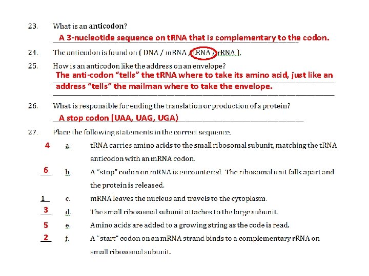 A 3 -nucleotide sequence on t. RNA that is complementary to the codon. The