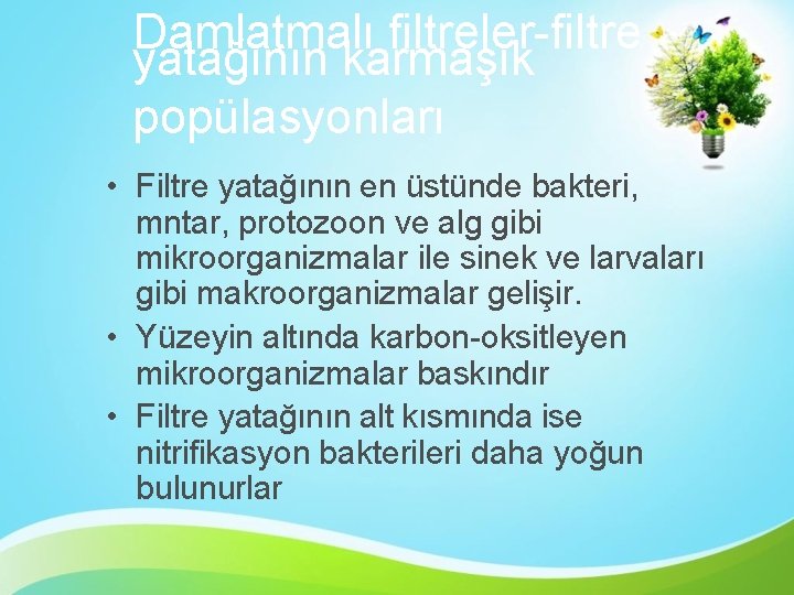 Damlatmalı filtreler-filtre yatağının karmaşık popülasyonları • Filtre yatağının en üstünde bakteri, mntar, protozoon ve