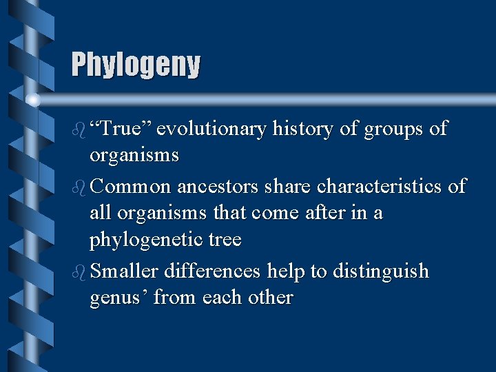 Phylogeny b “True” evolutionary history of groups of organisms b Common ancestors share characteristics Phylogeny b “True” evolutionary history of groups of organisms b Common ancestors share characteristics