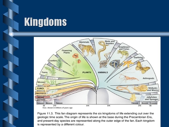 Kingdoms Kingdoms