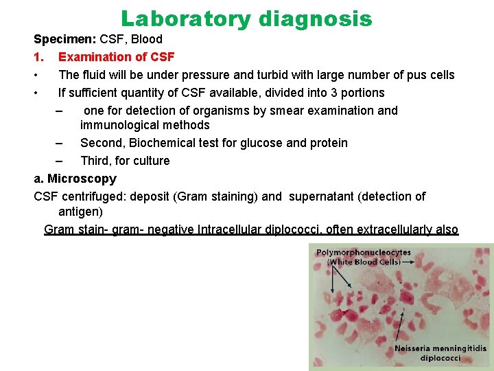 Laboratory diagnosis Specimen: CSF, Blood 1. Examination of CSF • The fluid will be