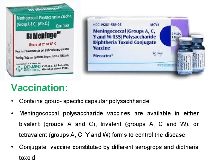 Vaccination: • Contains group- specific capsular polysachharide • Meningococcal polysaccharide vaccines are available in