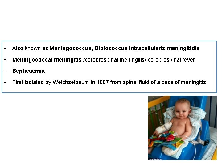  • Also known as Meningococcus, Diplococcus intracellularis meningitidis • Meningococcal meningitis /cerebrospinal meningitis/