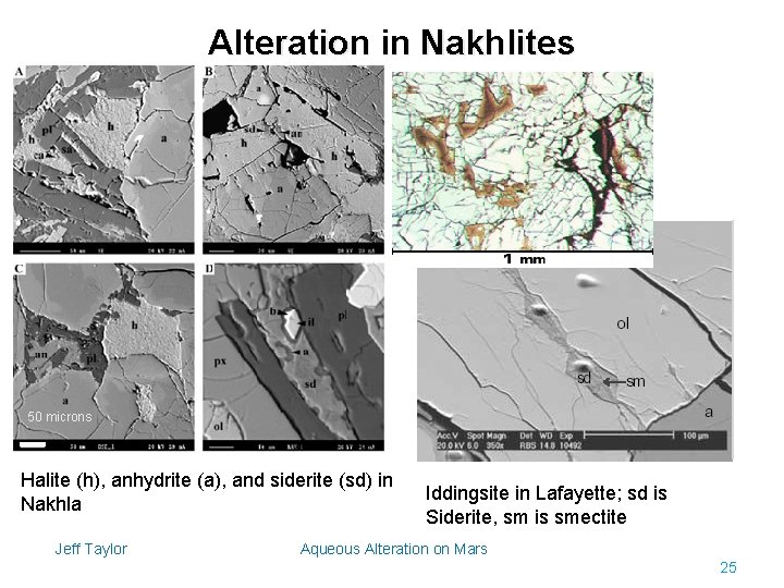 Alteration in Nakhlites 50 microns Halite (h), anhydrite (a), and siderite (sd) in Nakhla