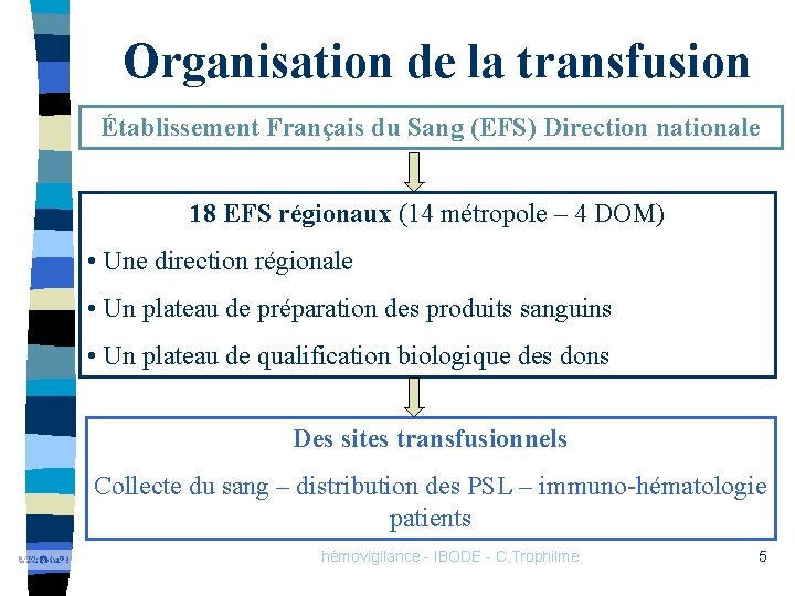 Organisation de la transfusion Établissement Français du Sang (EFS) Direction nationale 18 EFS régionaux
