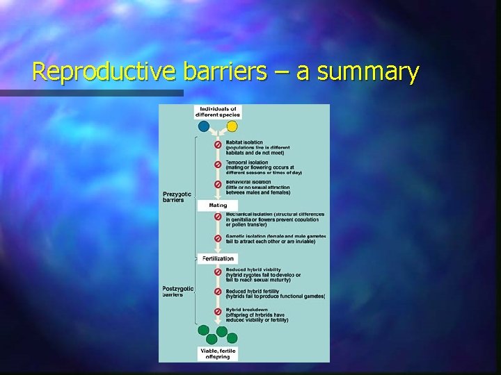 Reproductive barriers – a summary 