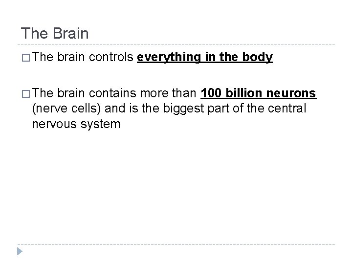 The Brain � The brain controls everything in the body brain contains more than The Brain � The brain controls everything in the body brain contains more than