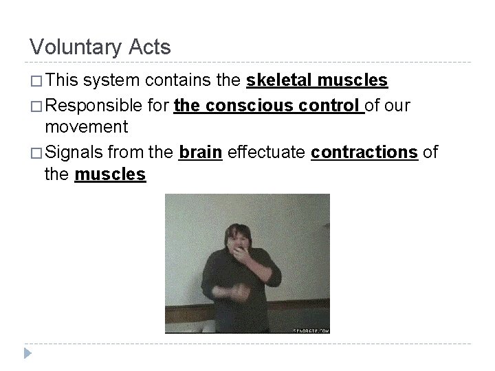 Voluntary Acts � This system contains the skeletal muscles � Responsible for the conscious Voluntary Acts � This system contains the skeletal muscles � Responsible for the conscious