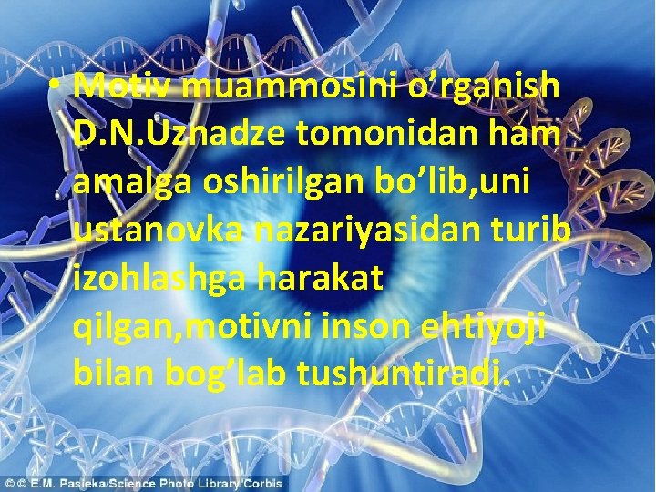  • Motiv muammosini o’rganish D. N. Uznadze tomonidan ham amalga oshirilgan bo’lib, uni