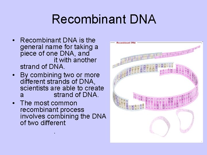 Recombinant DNA • Recombinant DNA is the general name for taking a piece of