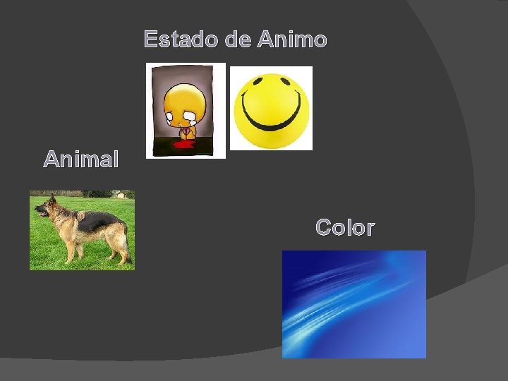 Estado de Animo Animal Color 