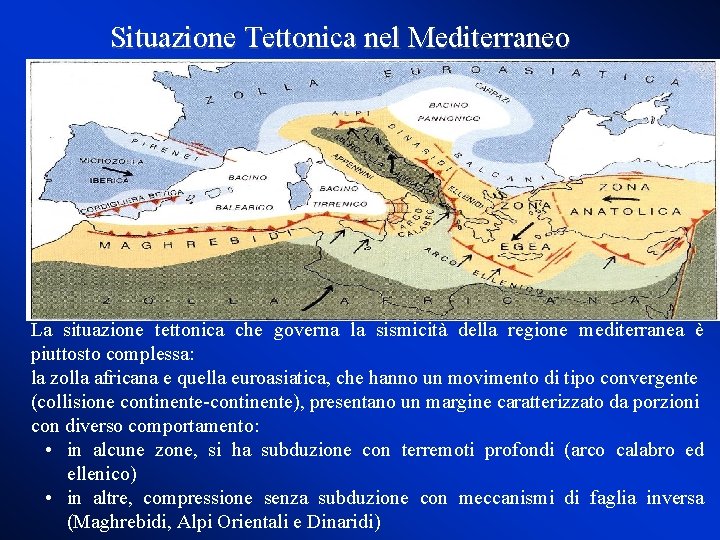 Situazione Tettonica nel Mediterraneo La situazione tettonica che governa la sismicità della regione mediterranea