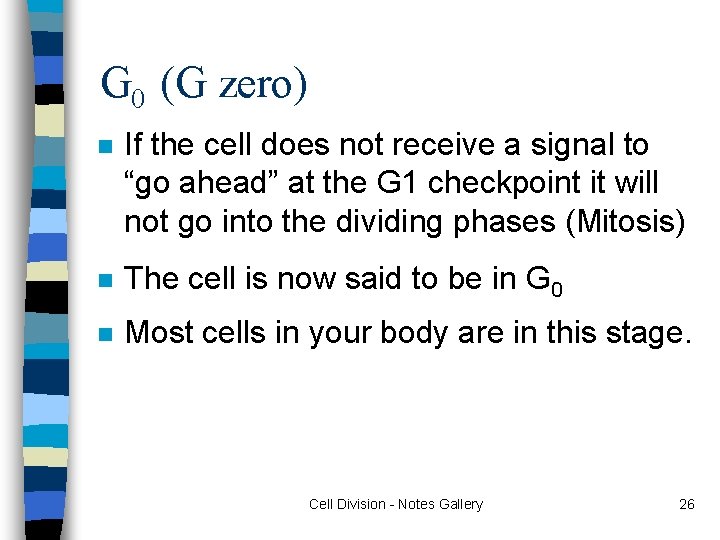 G 0 (G zero) n If the cell does not receive a signal to