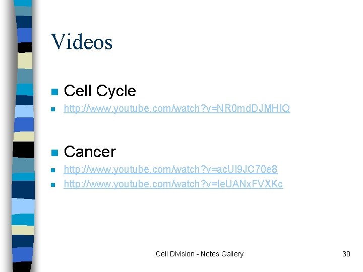 Videos n Cell Cycle n http: //www. youtube. com/watch? v=NR 0 md. DJMHIQ n