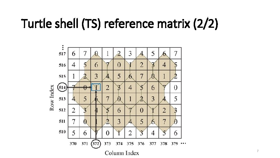 Turtle shell (TS) reference matrix (2/2) 7 