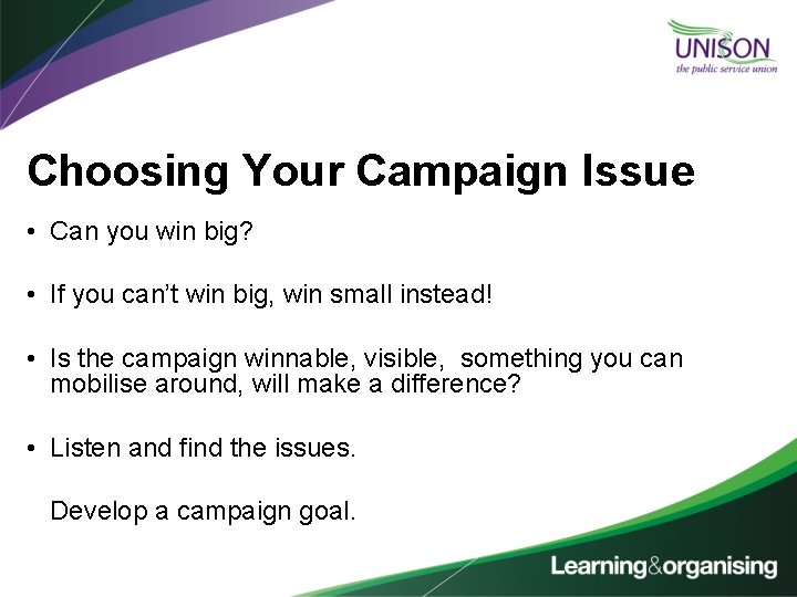 Choosing Your Campaign Issue • Can you win big? • If you can’t win