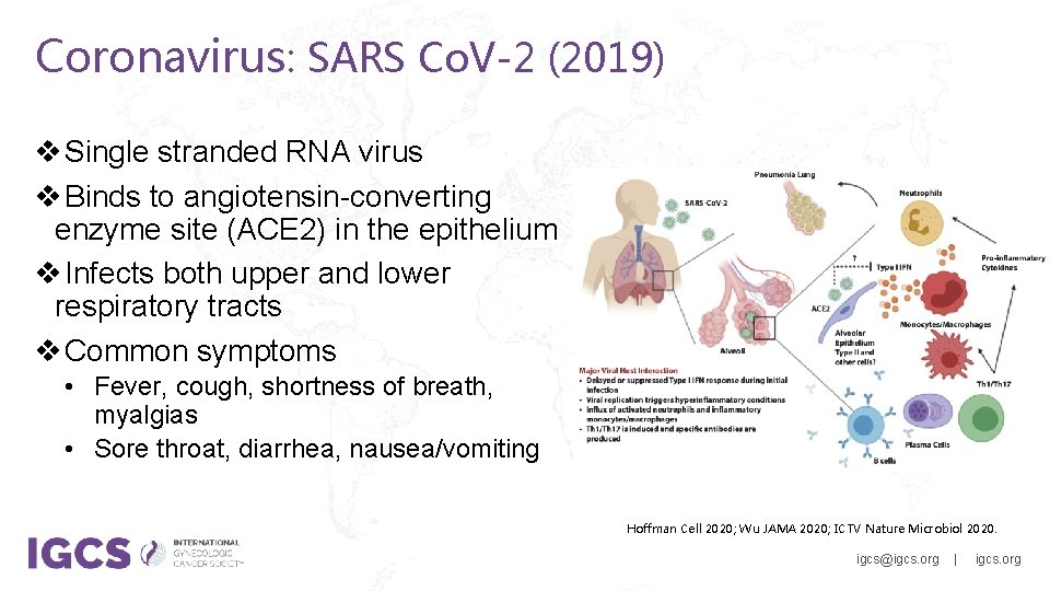 Coronavirus: SARS Co. V-2 (2019) v Single stranded RNA virus v Binds to angiotensin-converting